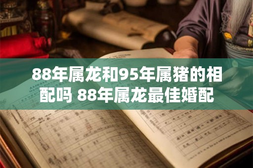 88年属龙和95年属猪的相配吗 88年属龙最佳婚配