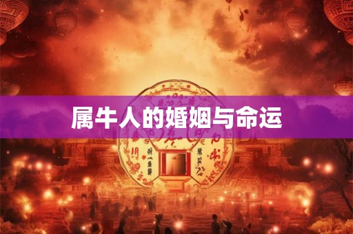 属牛人的婚姻与命运