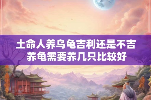 土命人养乌龟吉利还是不吉 养龟需要养几只比较好