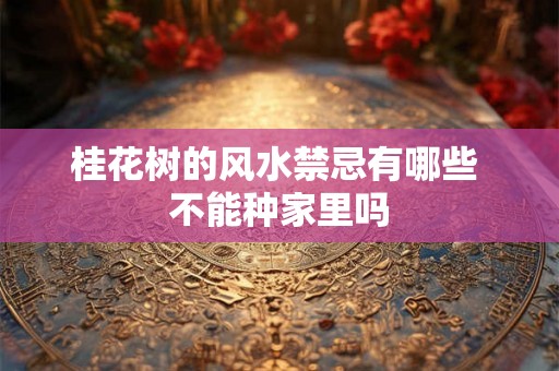 桂花树的风水禁忌有哪些 不能种家里吗