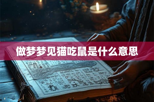 做梦梦见猫吃鼠是什么意思