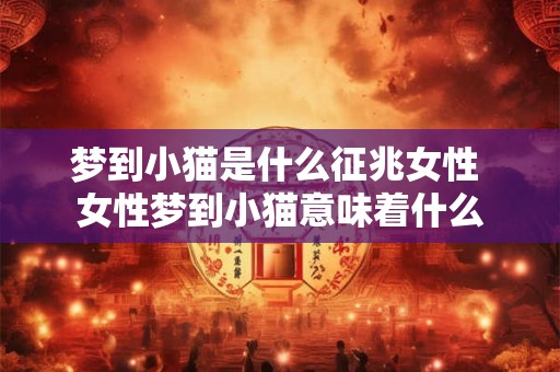 梦到小猫是什么征兆女性 女性梦到小猫意味着什么