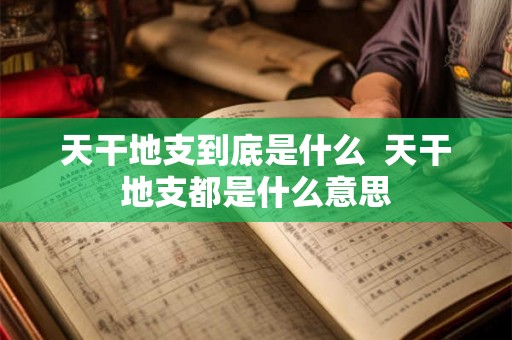 天干地支到底是什么 天干地支都是什么意思 天干地支到底是什么 天干地支都是什么意思