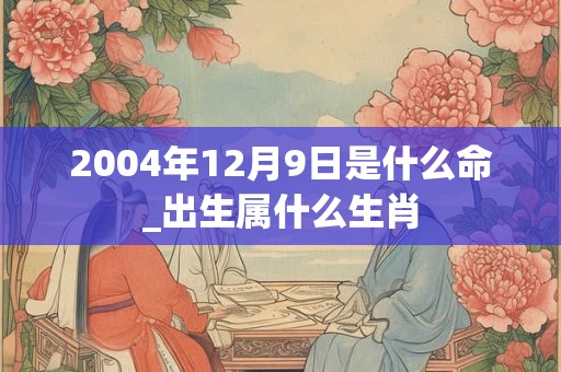 2004年12月9日是什么命_出生属什么生肖