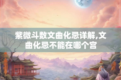 紫微斗数文曲化忌详解,文曲化忌不能在哪个宫 紫微斗数文曲化忌详解,文曲化忌不能在哪个宫