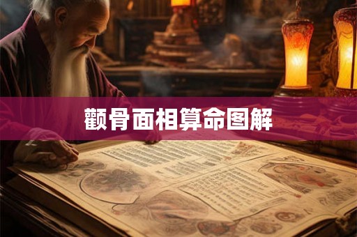 颧骨面相算命图解 颧骨面相算命图解
