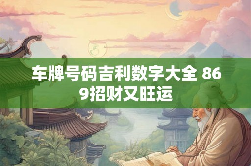 车牌号码吉利数字大全 869招财又旺运
