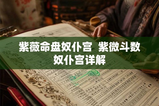 紫薇命盘奴仆宫  紫微斗数奴仆宫详解
