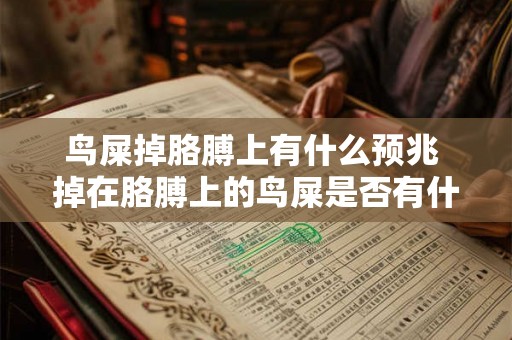 鸟屎掉胳膊上有什么预兆 掉在胳膊上的鸟屎是否有什么预兆