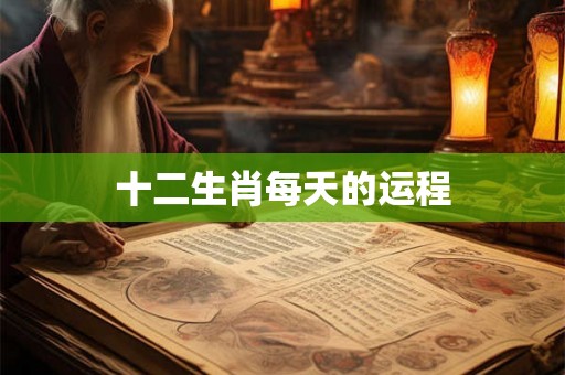 十二生肖每天的运程