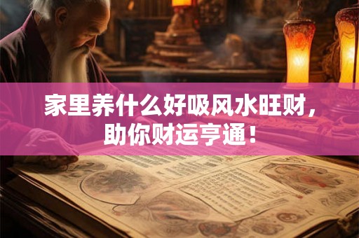 家里养什么好吸风水旺财，助你财运亨通！