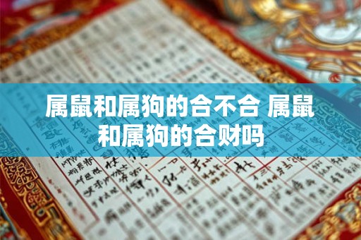 属鼠和属狗的合不合 属鼠和属狗的合财吗