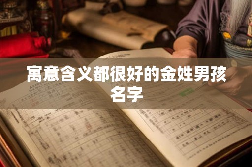 寓意含义都很好的金姓男孩名字 寓意含义都很好的金姓男孩名字
