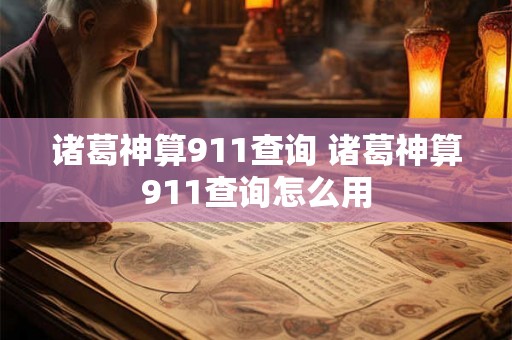 诸葛神算911查询 诸葛神算911查询怎么用