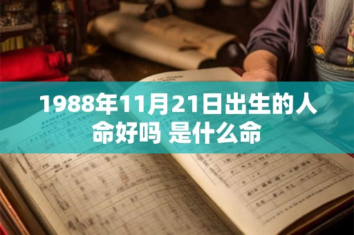 1988年11月21日出生的人命好吗 是什么命