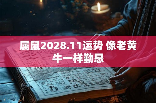 属鼠2028.11运势 像老黄牛一样勤恳