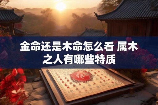金命还是木命怎么看 属木之人有哪些特质