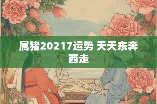 属猪20217运势 天天东奔西走