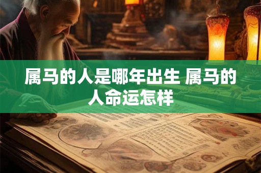 属马的人是哪年出生 属马的人命运怎样 属马的人是哪年出生 属马的人命运怎样
