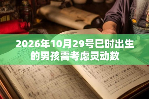 2026年10月29号巳时出生的男孩需考虑灵动数
