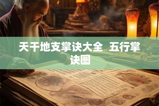 天干地支掌诀大全  五行掌诀图