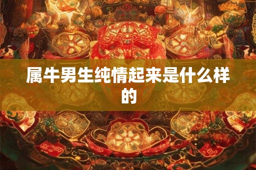属牛男生纯情起来是什么样的 属牛男生纯情起来是什么样的