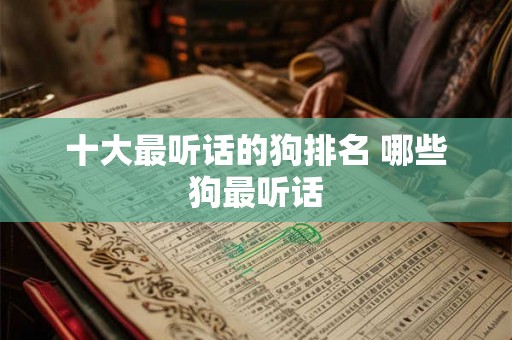 十大最听话的狗排名 哪些狗最听话 十大最听话的狗排名 哪些狗最听话