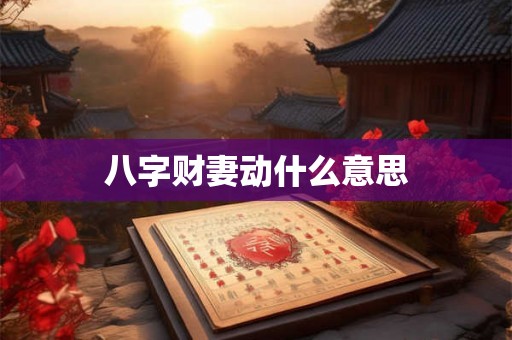 八字财妻动什么意思