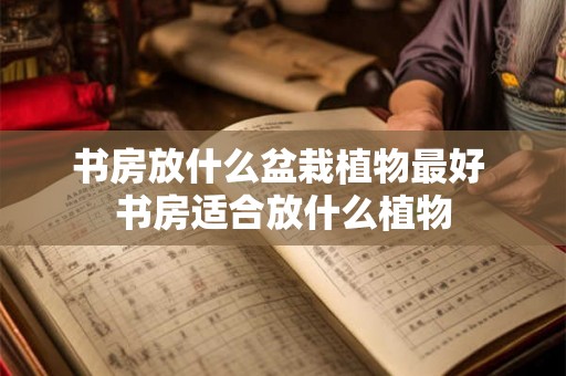 书房放什么盆栽植物最好 书房适合放什么植物 书房放什么盆栽植物最好 书房适合放什么植物