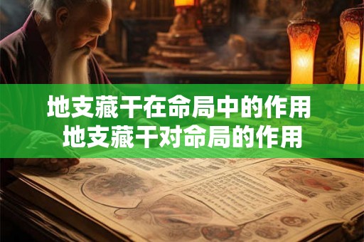 地支藏干在命局中的作用 地支藏干对命局的作用 地支藏干在命局中的作用 地支藏干对命局的作用
