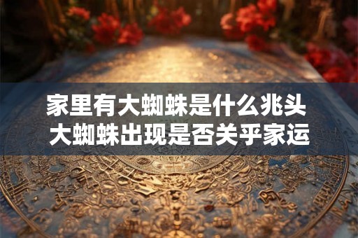 家里有大蜘蛛是什么兆头 大蜘蛛出现是否关乎家运