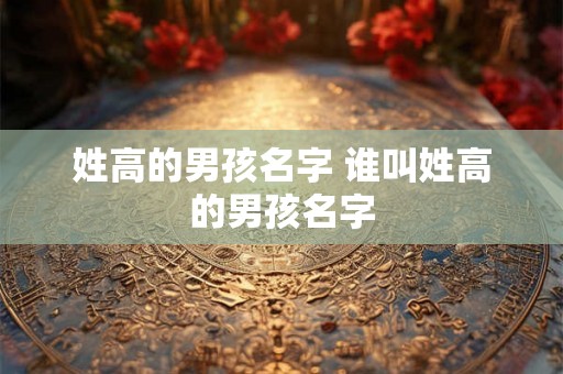 姓高的男孩名字 谁叫姓高的男孩名字