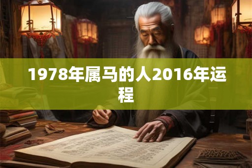 1978年属马的人2016年运程