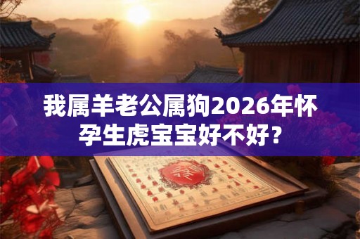 我属羊老公属狗2026年怀孕生虎宝宝好不好？