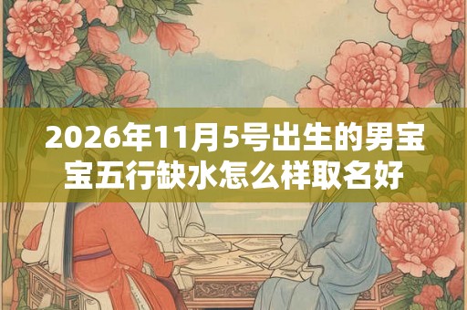 2026年11月5号出生的男宝宝五行缺水怎么样取名好