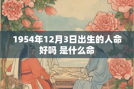 1954年12月3日出生的人命好吗 是什么命