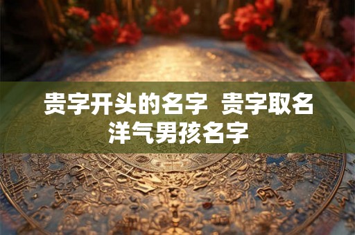贵字开头的名字  贵字取名洋气男孩名字