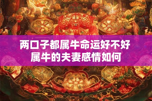 两口子都属牛命运好不好 属牛的夫妻感情如何