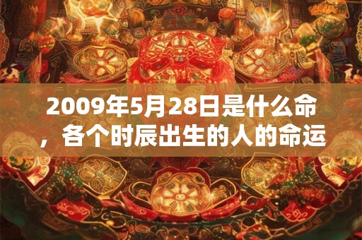 2009年5月28日是什么命，各个时辰出生的人的命运