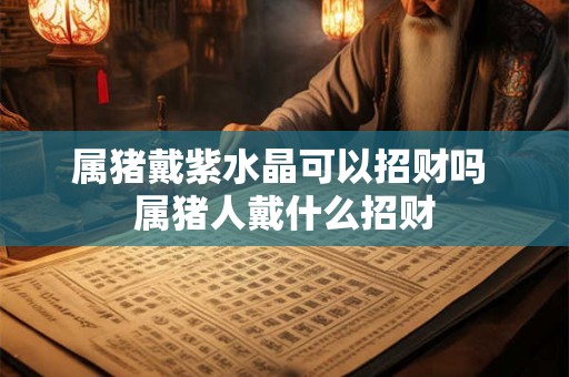 属猪戴紫水晶可以招财吗 属猪人戴什么招财