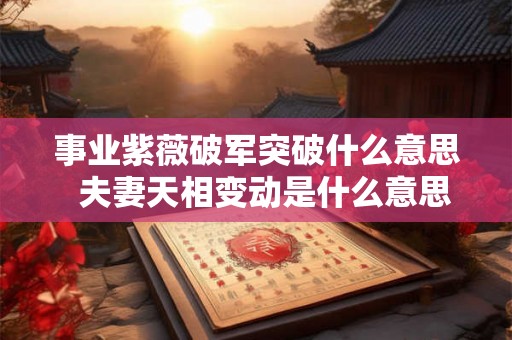 事业紫薇破军突破什么意思  夫妻天相变动是什么意思