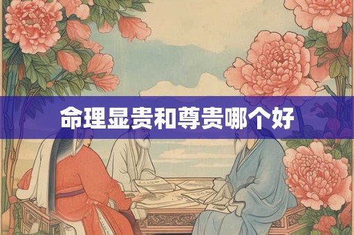 命理显贵和尊贵哪个好