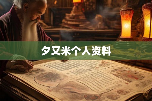 夕又米个人资料