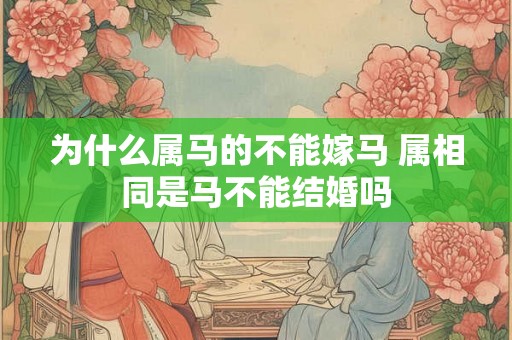 为什么属马的不能嫁马 属相同是马不能结婚吗