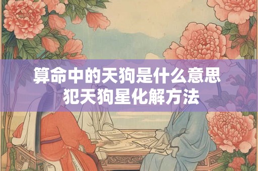 算命中的天狗是什么意思  犯天狗星化解方法