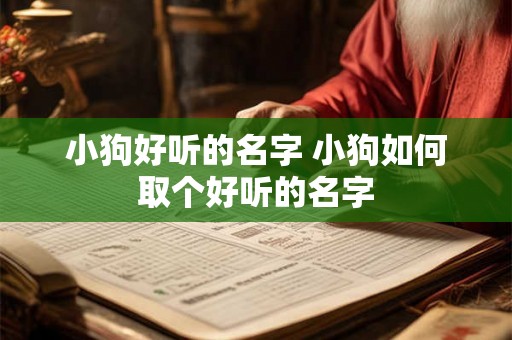 小狗好听的名字 小狗如何取个好听的名字