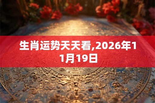 生肖运势天天看,2026年11月19日