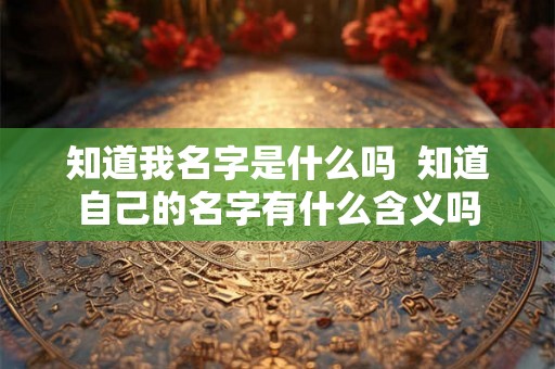 知道我名字是什么吗  知道自己的名字有什么含义吗
