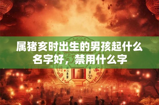 属猪亥时出生的男孩起什么名字好，禁用什么字