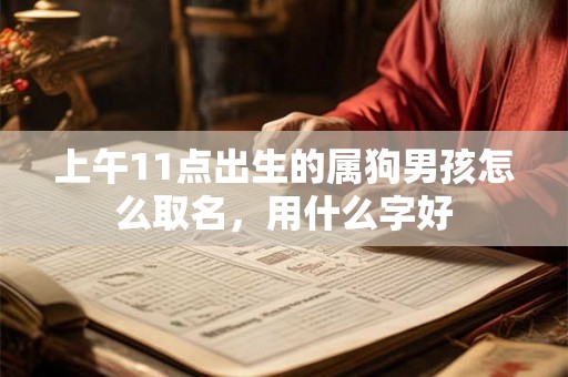 上午11点出生的属狗男孩怎么取名，用什么字好
